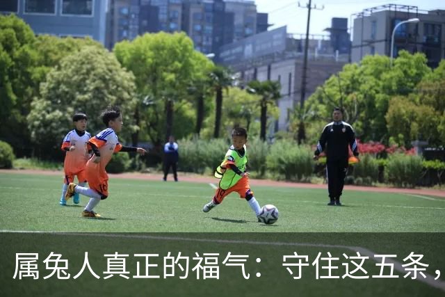 属兔人真正的福气：守住这五条，余生安稳顺遂