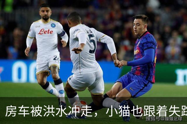 房车被洪水冲走，小猫也跟着失踪，8天后它突然回家了，全家人都哭了