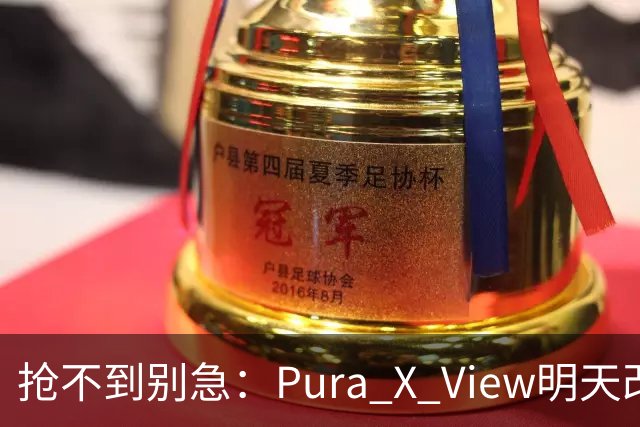 抢不到别急：Pura X View明天改“排队”，不用再卡点
