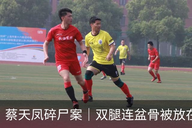 蔡天凤碎尸案｜双腿连盆骨被放在冰箱内，政府化验师形容“骨上面有点肉”